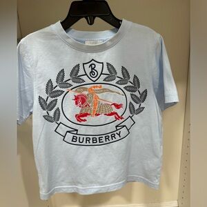 Burberry shirt for boys. Size 4T and color is baby blue and navy.